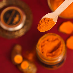 Haldiva Turmeric Powder  100 g